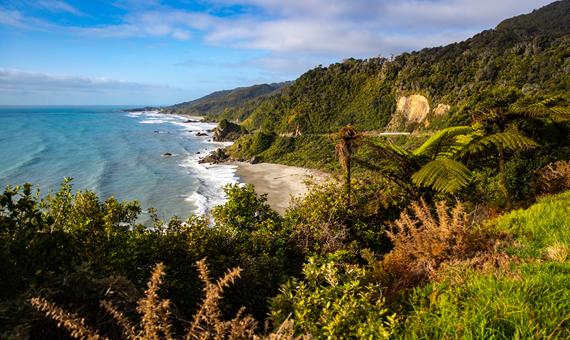 紐西蘭West Coast西海岸６號公路